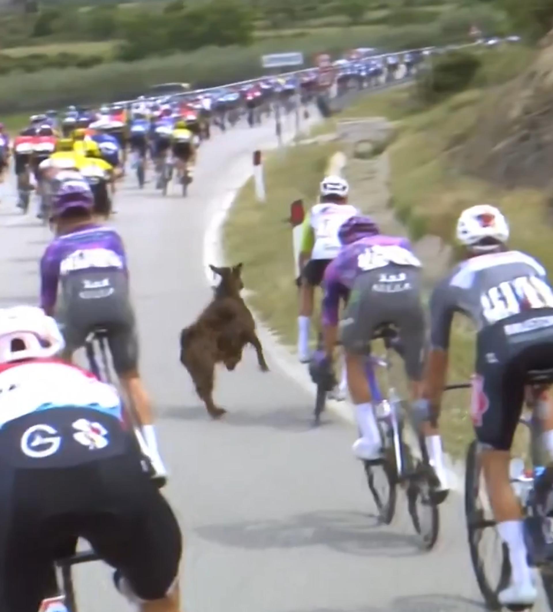 Uninvited guest causes uproar in major race: ‘I saw how they tried to keep him away’
